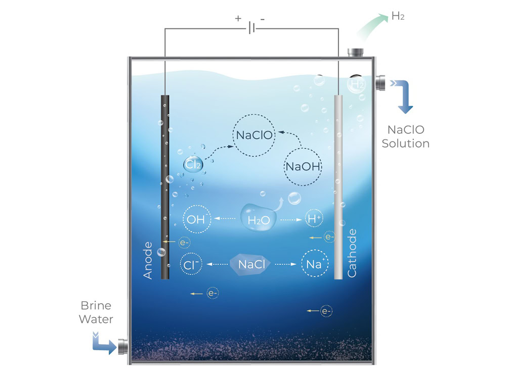 Swimming-pool-disinfection-principle