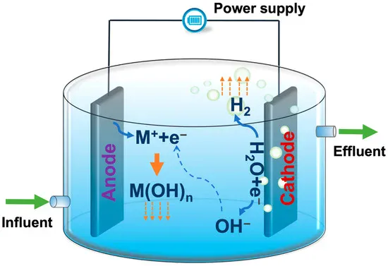 electrochemical sewage treatment