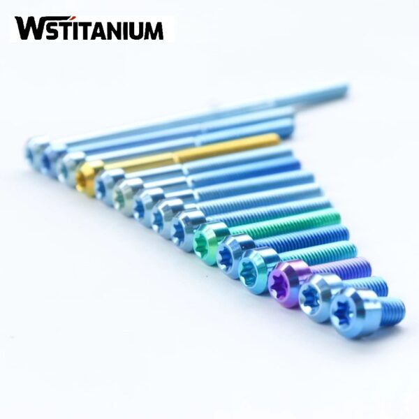 Anodized Titanium Screws