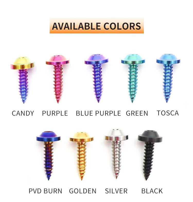 Anodized Titanium Screws