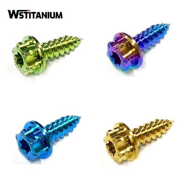 Anodized Titanium Screws