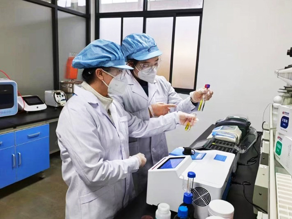 Custom Coating MMO Titanium Anode