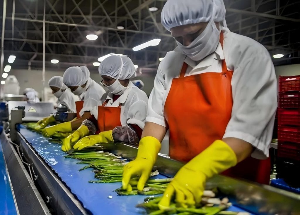 Fruit and Vegetable Processing