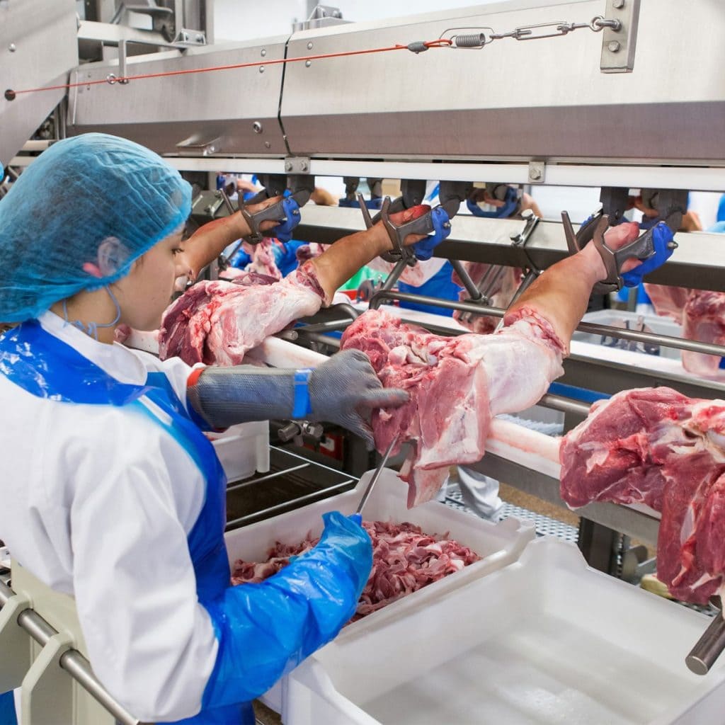 Meat and Seafood processing